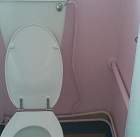 image of toilet before work